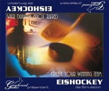 Eishockey - die Simulation