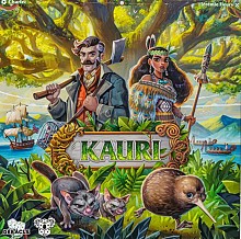 Kauri