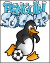 Penguin Soccer