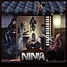 Era of the Ninja