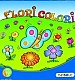 Flori Colori