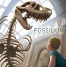 Fossilium